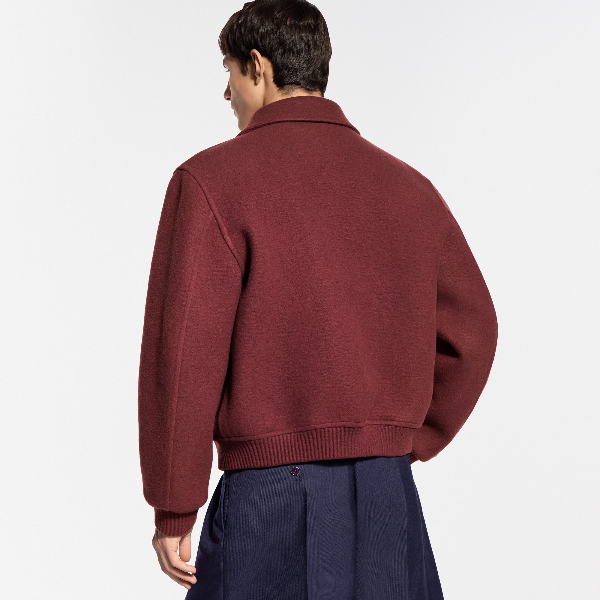 Cashmere Mix Double Face Blouson - For Men | LOUIS VUITTON